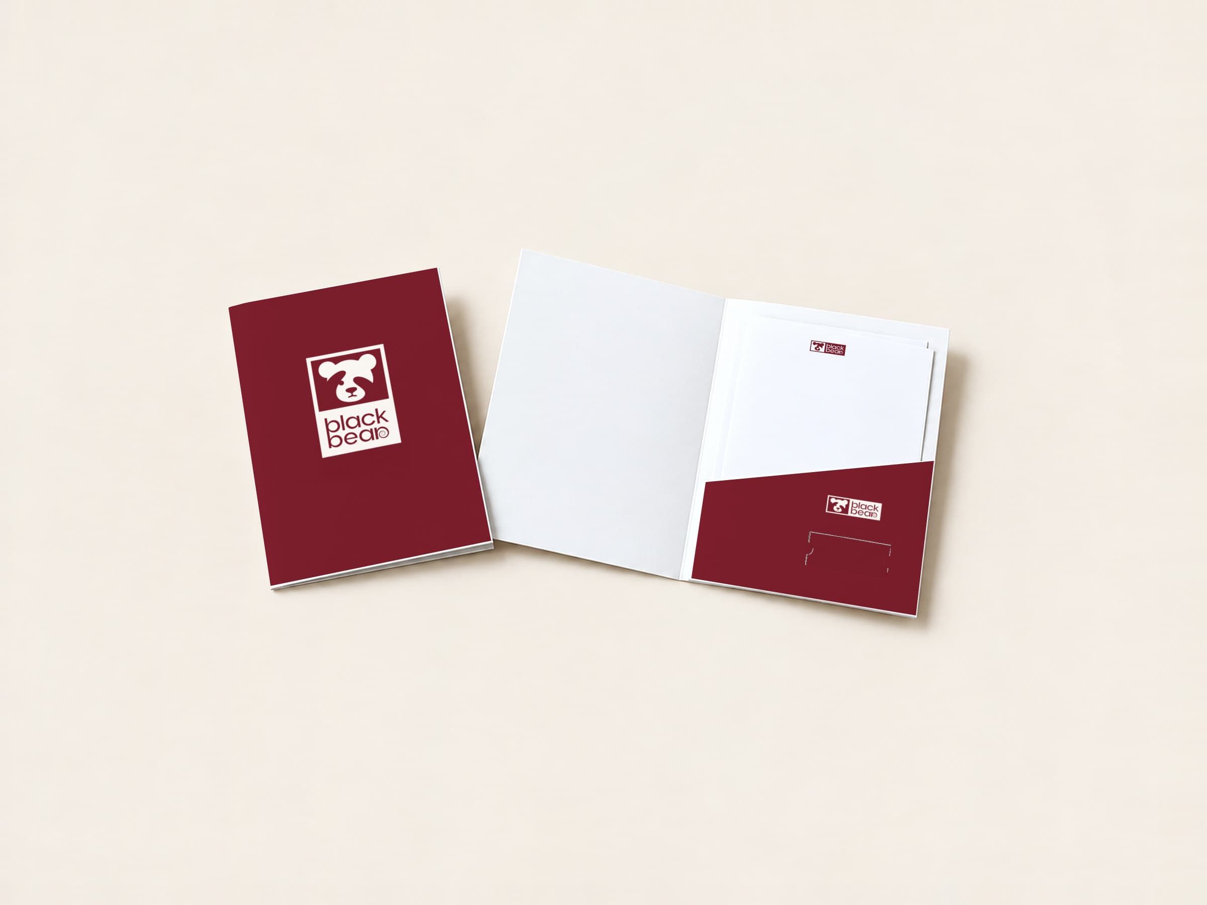 Presentation folders